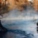 Popeyes Louisiana Kitchen